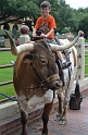 Kids_FWStockyards-2013 (16)